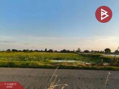 ขายที่ดิน เนื้อที่ 2 ไร่ 3 งาน บางเลน นครปฐม-202511181029201763436560597.jpg