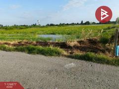 ขายที่ดิน เนื้อที่ 2 ไร่ 3 งาน บางเลน นครปฐม-202511181029211763436561229.jpg