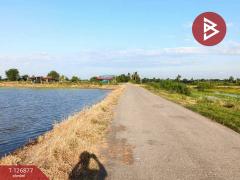 ขายที่ดิน เนื้อที่ 2 ไร่ 3 งาน บางเลน นครปฐม-202511181029211763436561773.jpg