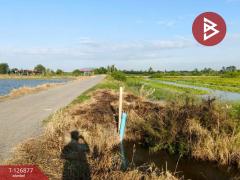 ขายที่ดิน เนื้อที่ 2 ไร่ 3 งาน บางเลน นครปฐม-202511181029221763436562307.jpg