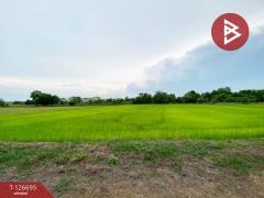 ขายที่ดิน เนื้อที่ 1 ไร่ 2 งาน หนองโน หนองโน