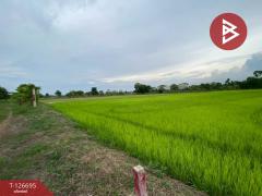 ขายที่ดิน เนื้อที่ 1 ไร่ 2 งาน หนองโน หนองโน-202511181031581763436718916.jpg