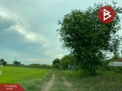 ขายที่ดิน เนื้อที่ 1 ไร่ 2 งาน หนองโน หนองโน-202511181031591763436719452.jpg