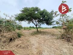 ขายที่ดินสวย เนื้อที่ 5 ไร่ 1 งาน 67.7 ตร.วา พานทอง ชลบุรี-202511181046291763437589072.jpg