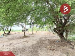 ขายที่ดินสวย เนื้อที่ 5 ไร่ 1 งาน 67.7 ตร.วา พานทอง ชลบุรี-202511181046311763437591259.jpg