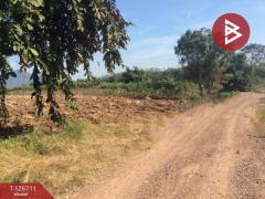 ขายที่ดินเปล่า เนื้อที่ 8 ไร่ 13 ตารางวา สอยดาว จันทบุรี-202511181110331763439033459.jpg