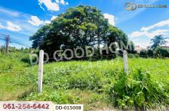 DD-015008 ที่ดินนครสวรรค์ตก 325 ตร.ว. นครสวรรค์ ใกล้มหาวิทยาลัยราชภัฏนครสวรรค์-202511181124381763439878527.jpg