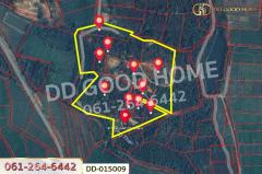 DD-015009 ที่ดินพร้อมสิ่งปลูกสร้างพาน 37 ไร่ 251.4 ตร.ว. เชียงราย ใกล้มหาวิทยาลัยเทคโนโลยีราชมงคลล้านนา -202511181129551763440195711.jpg