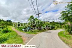 DD-015009 ที่ดินพร้อมสิ่งปลูกสร้างพาน 37 ไร่ 251.4 ตร.ว. เชียงราย ใกล้มหาวิทยาลัยเทคโนโลยีราชมงคลล้านนา -202511181129561763440196291.jpg