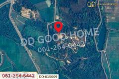 DD-015009 ที่ดินพร้อมสิ่งปลูกสร้างพาน 37 ไร่ 251.4 ตร.ว. เชียงราย ใกล้มหาวิทยาลัยเทคโนโลยีราชมงคลล้านนา -202511181129571763440197463.jpg