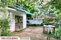 DD-015009 ที่ดินพร้อมสิ่งปลูกสร้างพาน 37 ไร่ 251.4 ตร.ว. เชียงราย ใกล้มหาวิทยาลัยเทคโนโลยีราชมงคลล้านนา -202511181129581763440198037.jpg