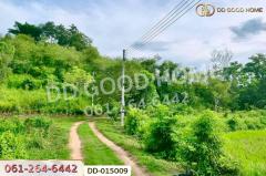 DD-015009 ที่ดินพร้อมสิ่งปลูกสร้างพาน 37 ไร่ 251.4 ตร.ว. เชียงราย ใกล้มหาวิทยาลัยเทคโนโลยีราชมงคลล้านนา -202511181129591763440199753.jpg