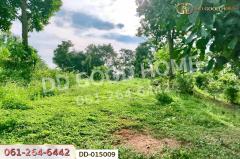 DD-015009 ที่ดินพร้อมสิ่งปลูกสร้างพาน 37 ไร่ 251.4 ตร.ว. เชียงราย ใกล้มหาวิทยาลัยเทคโนโลยีราชมงคลล้านนา -202511181130001763440200438.jpg