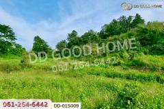 DD-015009 ที่ดินพร้อมสิ่งปลูกสร้างพาน 37 ไร่ 251.4 ตร.ว. เชียงราย ใกล้มหาวิทยาลัยเทคโนโลยีราชมงคลล้านนา -202511181130011763440201016.jpg