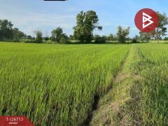 ขายที่ดิน เนื้อที่ 5 ไร่ 3 งาน 49.1 ตร.วา เขื่องใน อุบลราชธานี-202511181133051763440385381.jpg