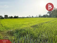 ขายที่ดิน เนื้อที่ 5 ไร่ 3 งาน 49.1 ตร.วา เขื่องใน อุบลราชธานี-202511181133051763440385939.jpg