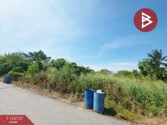 ขายที่ดิน เนื้อที่ 4 ไร่ 27 ตร.วา บ้านบึง ชลบุรี-202511181142041763440924212.jpg