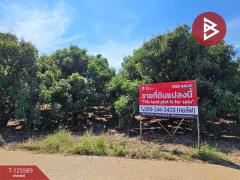 ขายที่ดิน เนื้อที่ 5 ไร่ โป่งน้ำร้อน จันทบุรี
