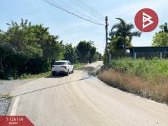 ขายที่ดินถมแล้ว เนื้อที่ 1 งาน 30 ตร.วา พุทธมณฑล นครปฐม-202511181213041763442784181.jpg