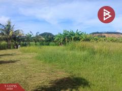 ขายที่ดิน เนื้อที่ 5 ไร่ ท่าใหม่ จันทบุรี