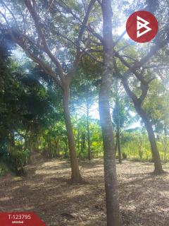 ขายที่ดิน เนื้อที่ 5 ไร่ ท่าใหม่ จันทบุรี-202511181215141763442914182.jpg