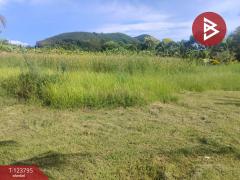 ขายที่ดิน เนื้อที่ 5 ไร่ ท่าใหม่ จันทบุรี-202511181215171763442917055.jpg