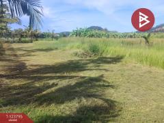 ขายที่ดิน เนื้อที่ 5 ไร่ ท่าใหม่ จันทบุรี-202511181215181763442918748.jpg