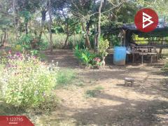 ขายที่ดิน เนื้อที่ 5 ไร่ ท่าใหม่ จันทบุรี-202511181215191763442919871.jpg