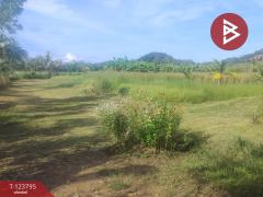 ขายที่ดิน เนื้อที่ 5 ไร่ ท่าใหม่ จันทบุรี-202511181215201763442920445.jpg