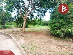 ขายที่ดิน เนื้อที่ 2 งาน แกลง ระยอง-202511181225441763443544881.jpg