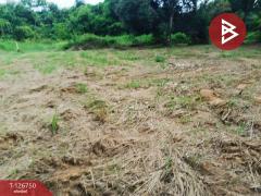 ขายที่ดิน เนื้อที่ 2 งาน แกลง ระยอง-202511181225451763443545432.jpg