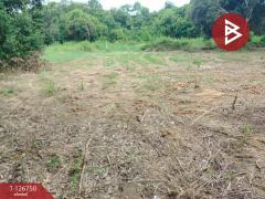 ขายที่ดิน เนื้อที่ 2 งาน แกลง ระยอง-202511181225451763443545971.jpg