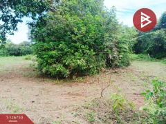 ขายที่ดิน เนื้อที่ 2 งาน แกลง ระยอง-202511181225461763443546513.jpg