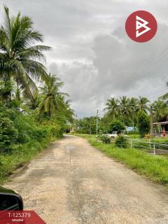 ขายที่ดิน เนื้อที่ 7 ไร่ 1 งาน 3 ตร.วา เชียรใหญ่ นครศรีธรรมราช