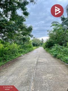 ขายที่ดิน เนื้อที่ 7 ไร่ 1 งาน 3 ตร.วา เชียรใหญ่ นครศรีธรรมราช-202511181246461763444806348.jpg