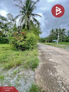 ขายที่ดิน เนื้อที่ 7 ไร่ 1 งาน 3 ตร.วา เชียรใหญ่ นครศรีธรรมราช-202511181246461763444806903.jpg