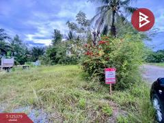 ขายที่ดิน เนื้อที่ 7 ไร่ 1 งาน 3 ตร.วา เชียรใหญ่ นครศรีธรรมราช-202511181246471763444807462.jpg