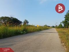 ขายที่ดิน เนื้อที่ 10 ไร่ 43 ตร.วา ปากท่อ ราชบุรี-202511181304121763445852276.jpg