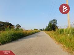 ขายที่ดิน เนื้อที่ 10 ไร่ 43 ตร.วา ปากท่อ ราชบุรี-202511181304121763445852829.jpg