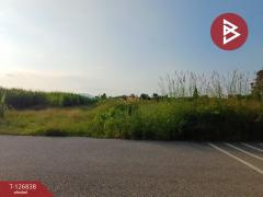 ขายที่ดิน เนื้อที่ 10 ไร่ 43 ตร.วา ปากท่อ ราชบุรี-202511181304131763445853923.jpg