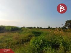 ขายที่ดิน เนื้อที่ 10 ไร่ 43 ตร.วา ปากท่อ ราชบุรี-202511181304151763445855460.jpg