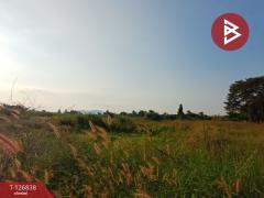 ขายที่ดิน เนื้อที่ 10 ไร่ 43 ตร.วา ปากท่อ ราชบุรี-202511181304161763445856370.jpg