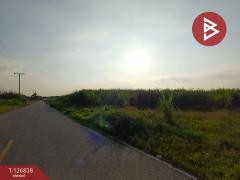 ขายที่ดิน เนื้อที่ 10 ไร่ 43 ตร.วา ปากท่อ ราชบุรี-202511181304171763445857727.jpg