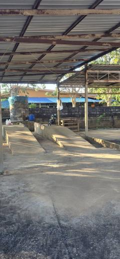 ขายบ้านพร้อมที่ดิน บรรยากาศดี อ.ดอยหลวง จ.เชียงใหม่ ราคาเพียง 10 ลบ.-202511181324361763447076886.jpg