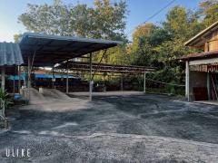 ขายบ้านพร้อมที่ดิน บรรยากาศดี อ.ดอยหลวง จ.เชียงใหม่ ราคาเพียง 10 ลบ.-202511181324401763447080298.jpg