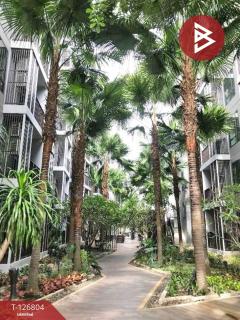 ขาย/เช่าคอนโดมิเนียม เมโทรลักซ์ ริเวอร์ฟร้อนท์ รัตนาธิเบศร์ ไทรม้า นนทบุรี-202511181339411763447981387.jpg