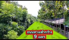 ขายที่ดินแปลงสวยรามอินทรา 117 ถมแล้ว-202511181358221763449102196.jpg