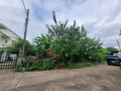 ขายที่ดินเปล่า 70ตรว. คลอง11 หมู่บ้านนริศรา ซ.4 ถูกกว่าราคาประเมิน เจ้าของขายเอง โทร 0969654945-202511181412481763449968274.jpg