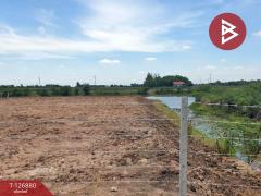 ขายที่ดิน-เนื้อที่-2-ไร่-2-งาน-42-ตร.วา-อง