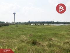 ขายที่ดิน เนื้อที่ 2 ไร่ 2 งาน 42 ตร.วา องครักษ์ นครนายก-202511181453221763452402278.jpg